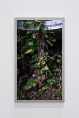Colonnade by Scott McFarland contemporary artwork moving image