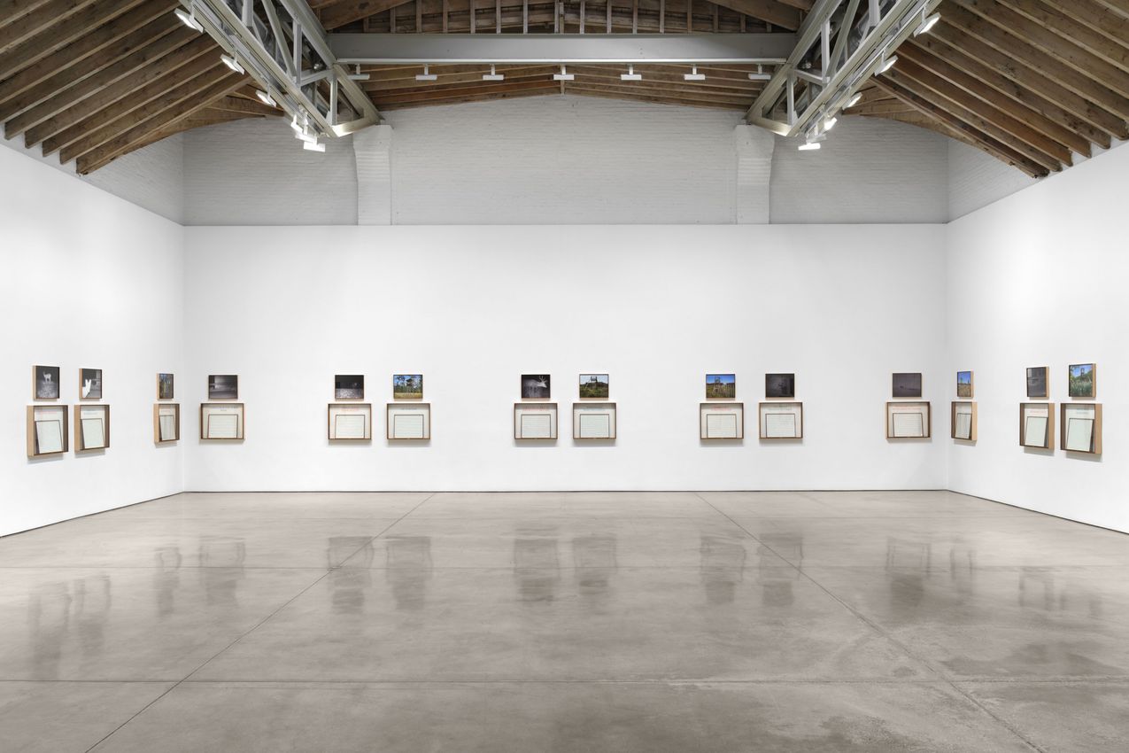 Sophie Calle
