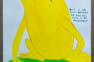 David Shrigley