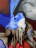 Im Nebel Etwas Sues by Juno Rothaug contemporary artwork Painting