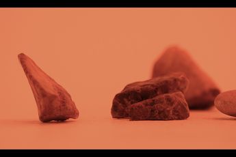 Contemporary art exhibition Minji Yi Ghost Motion at Gallery Chosun Seoul South Korea