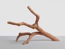 my grandmothers father a carpenter too by Mirko Baselgia contemporary artwork Sculpture