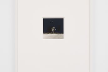 Robert Adams contemporary artist