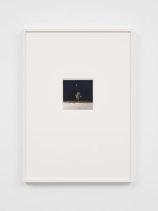 ROBERT ADAMS