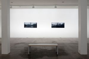Mark Adams