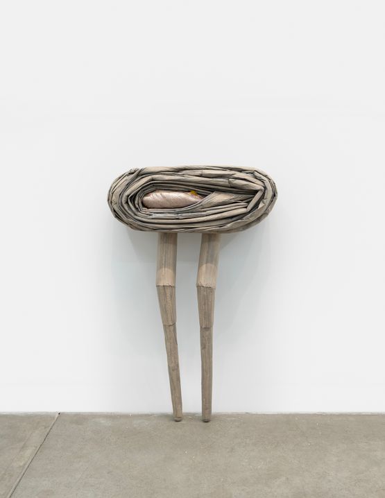 Episode by Liz Magor contemporary artwork Sculpture