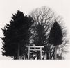 Peoppe Hill Torii Hokkaido Japan by Michael Kenna contemporary artwork Photography