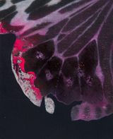 Cyborg Butterfly 3 by Yoshiaki Nakamura contemporary artwork painting