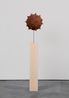 Chicken Pox by Wangechi Mutu contemporary artwork Painting