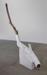 Indistinti confini - Sapina Indistinct Boundaries -Sapina by Giuseppe Penone contemporary artwork sculpture