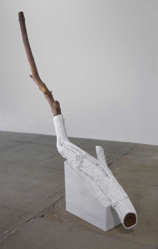 Indistinti confini - Sapina Indistinct Boundaries -Sapina by Giuseppe Penone contemporary artwork Sculpture