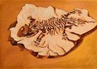 Museum Menageries 44 The fossil reptile by Prabhakar Pachpute contemporary artwork Works on Paper