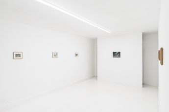 Contemporary art exhibition Kong Lingnan Shepherding Fish at Capsule Shanghai China