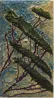 Portrait of Italy Through Its Trees IX by Julian Schnabel contemporary artwork Design