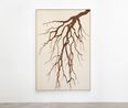 The Tree Whose Roots are Alive roots paintings by Claudia Comte contemporary artwork Painting