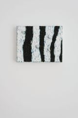 Sin titulo - Caracoles by Mateo Revillo contemporary artwork painting