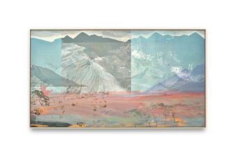 Petra Cortright contemporary artist