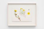 Cecilia Edefalk contemporary artist