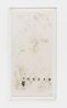 Untitled by Mira Schendel contemporary artwork Painting