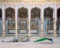The Waiting Game Poddar Haveli Nawalgarh by Karen Knorr contemporary artwork Painting