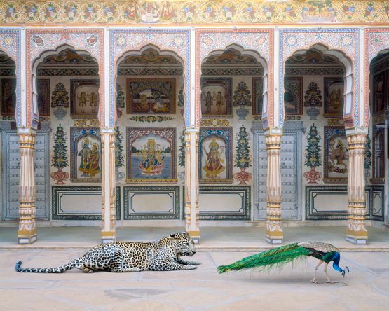 The Waiting Game Poddar Haveli Nawalgarh by Karen Knorr contemporary artwork Painting