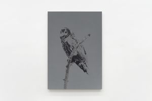 Luca Campestri