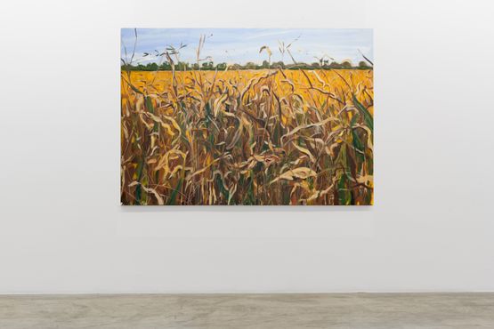 Pantanal  06 by Maria Klabin contemporary artwork Painting