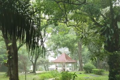 4K Walking in Thunderstorm LOUD Monsoon Rain ASMR Rainforest Nostalgic Singapore Walk 209