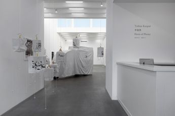 Contemporary art exhibition Tobias Kaspar Horn of Plenty at Galerie Urs Meile Beijing China