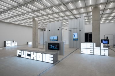 Hito Steyerl Rule-Breaking in the Data Society