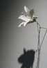About Whether The Morning Will Come by Doki Kim contemporary artwork Installation