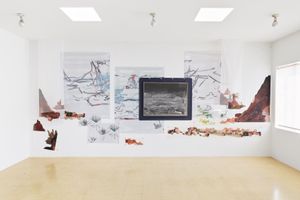 Petra Cortright