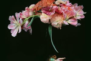 Nobuyoshi Araki