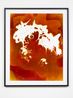 Alopecia by Justine Varga contemporary artwork Photography