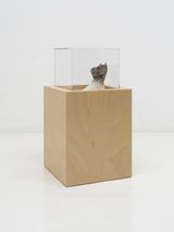 FF010 by Miranda Fengyuan Zhang contemporary artwork sculpture