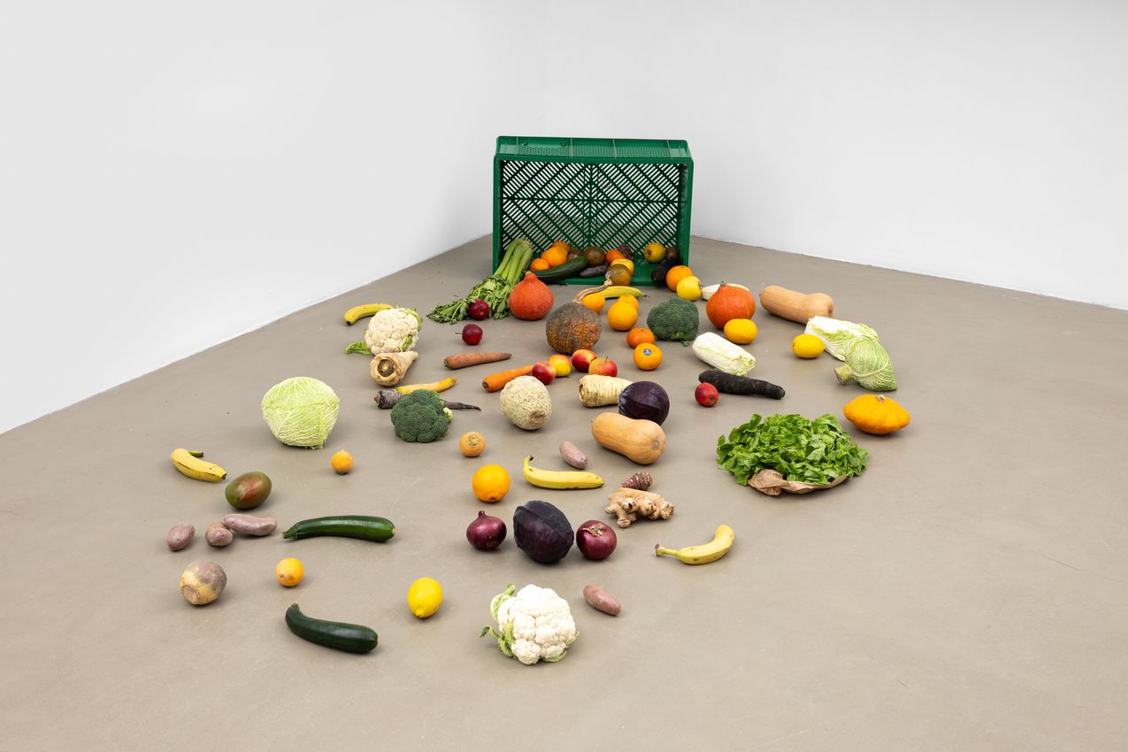 NINA BEIER