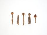 Las flours digl got - Sciurus by Mirko Baselgia contemporary artwork mixed media