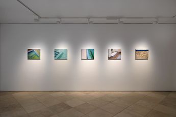 Contemporary art exhibition Adriana Varejao Adriana Varejao at Victoria Miro Venice Italy