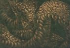 Piece of Mind by Eunsil Lee contemporary artwork Works on Paper