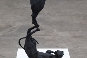 Andy Fitz