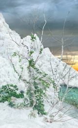 True Heart Riding the Wind by Won Seoung Won contemporary artwork photography
