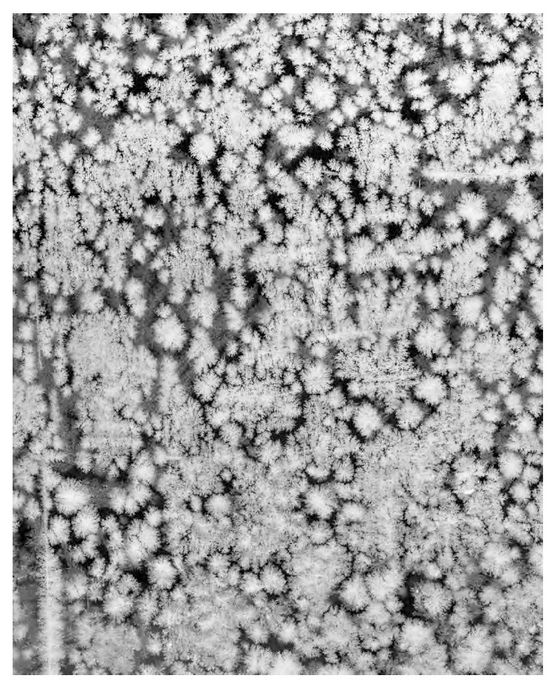 Crystals IX by Tomoko Yoneda contemporary artwork Photography