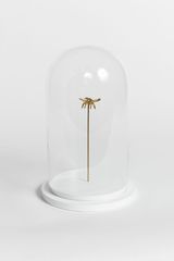 EUGLOSSA by Ana Gonzalez contemporary artwork sculpture