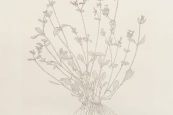 Michael Landy contemporary artist