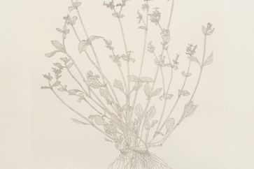 Michael Landy contemporary artist