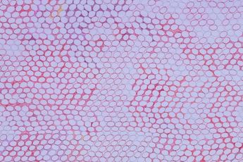 Contemporary art exhibition Liza Lou Woven at Lehmann Maupin 501 West 24th Street New York United States