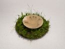 My Hand is Your Fountain by Mircea Cantor contemporary artwork Sculpture
