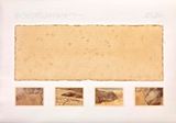 Area-Sayreville New Jersey 40-30 Latitude 74-30 Longitude Specimen Fragment Sample of Earth Showing Impression of Rock Forms Location-Views of Northwest Section Of Quarry site Date-July 26th 1976 1 PM by Michelle Stuart contemporary artwork drawing painting works on paper