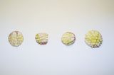 Works from The garden Untitled by Jason Lim contemporary artwork sculpture