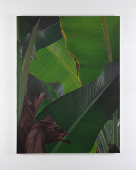 Banana IX by Marcel Vidal contemporary artwork Painting